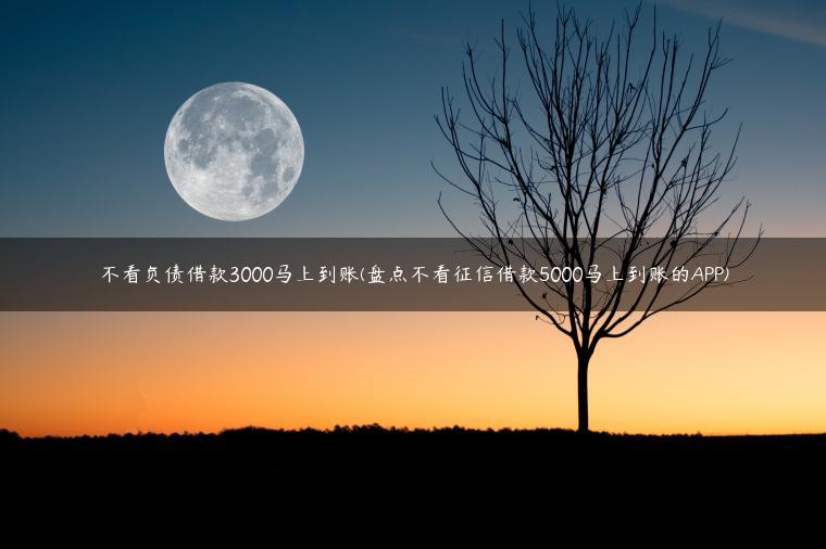 不看负债借款3000马上到账(盘点不看征信借款5000马上到账的APP)