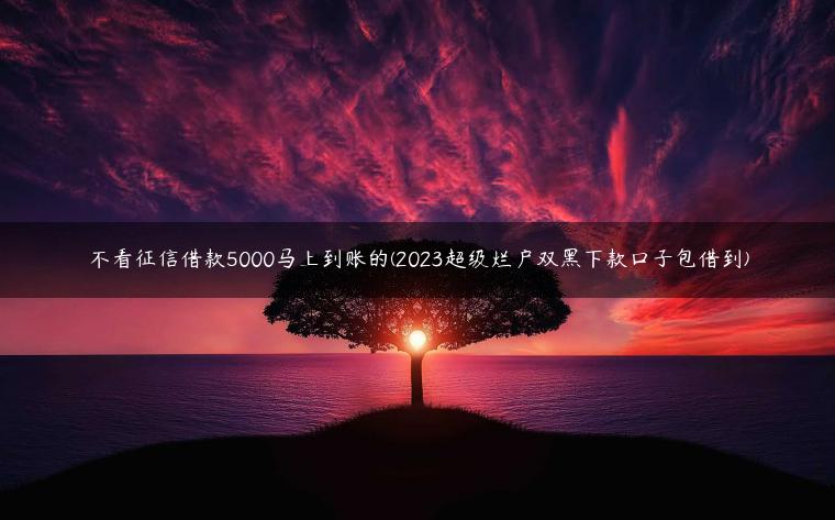 不看征信借款5000马上到账的(2023超级烂户双黑下款口子包借到)