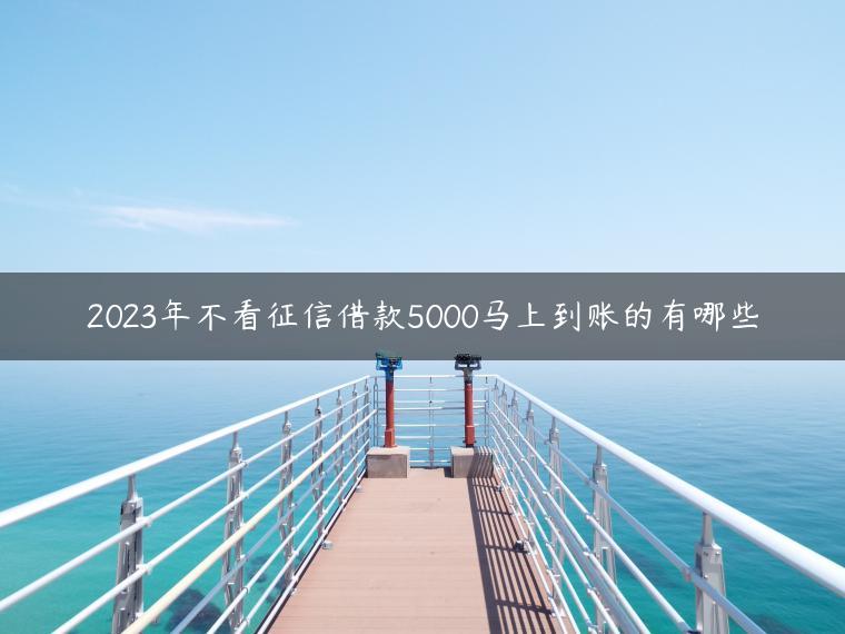 2023年不看征信借款5000马上到账的有哪些