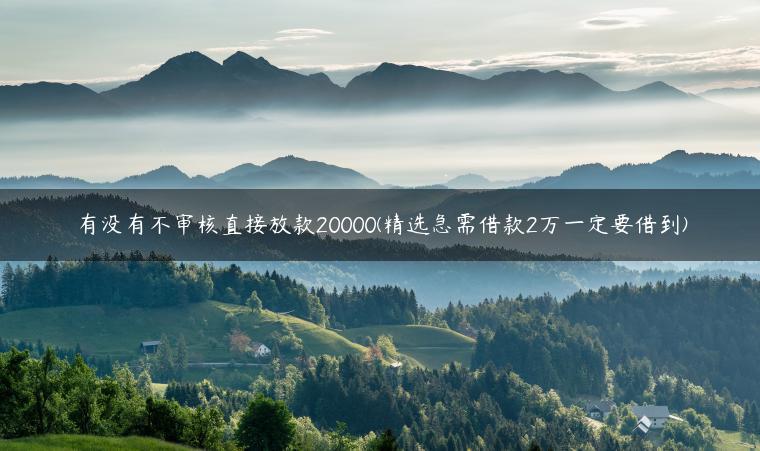 有没有不审核直接放款20000(精选急需借款2万一定要借到)