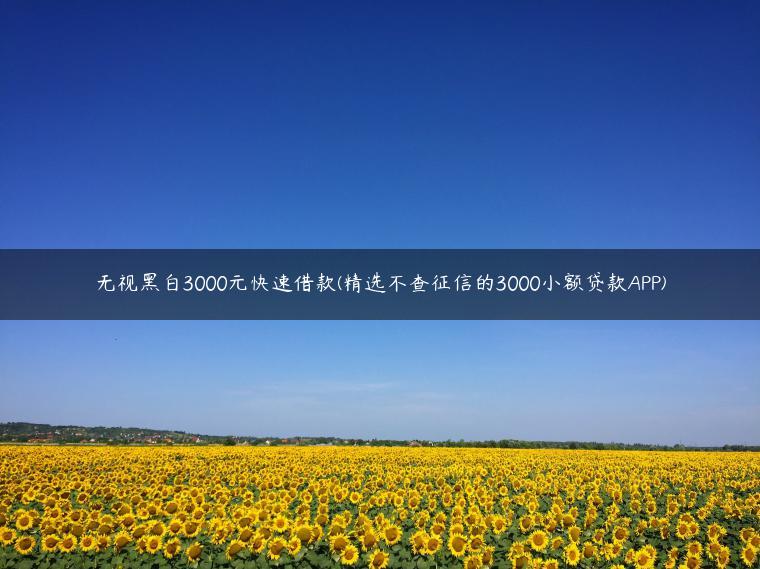 无视黑白3000元快速借款(精选不查征信的3000小额贷款APP)