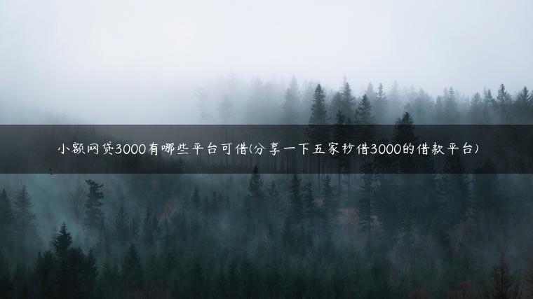 小额网贷3000有哪些平台可借(分享一下五家秒借3000的借款平台)