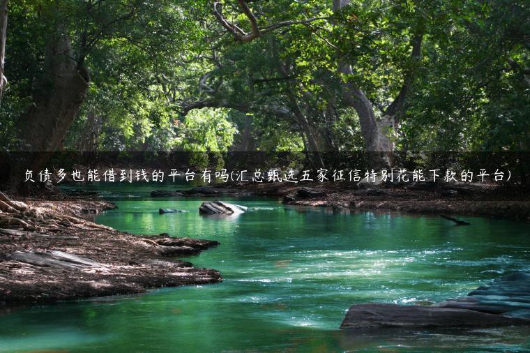 负债多也能借到钱的平台有吗(汇总甄选五家征信特别花能下款的平台)