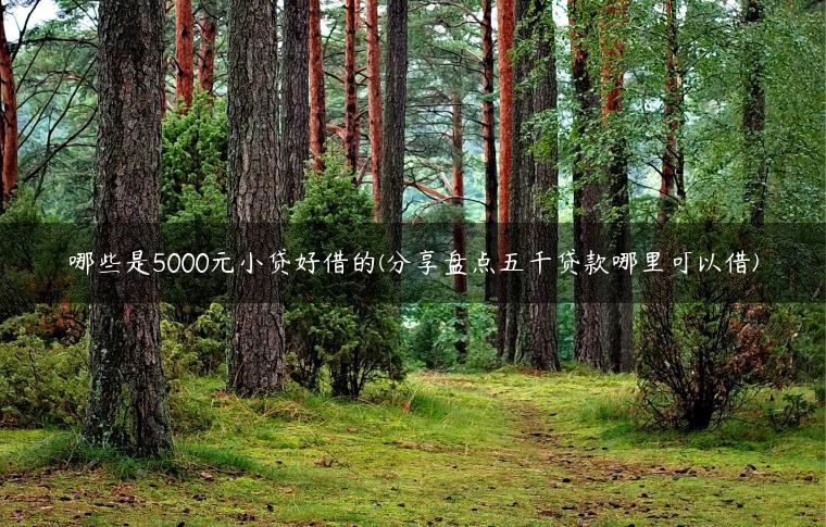 哪些是5000元小贷好借的(分享盘点五千贷款哪里可以借)