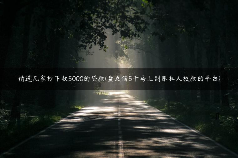 精选几家秒下款5000的贷款(盘点借5千马上到账私人放款的平台)