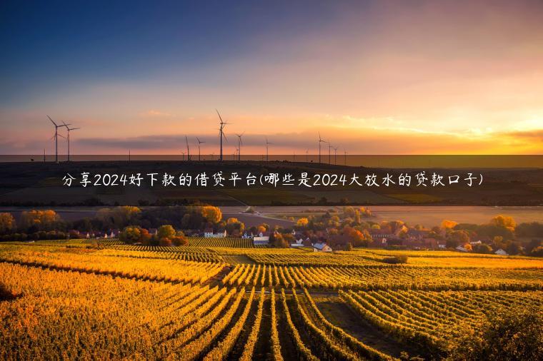 分享2024好下款的借贷平台(哪些是2024大放水的贷款口子)