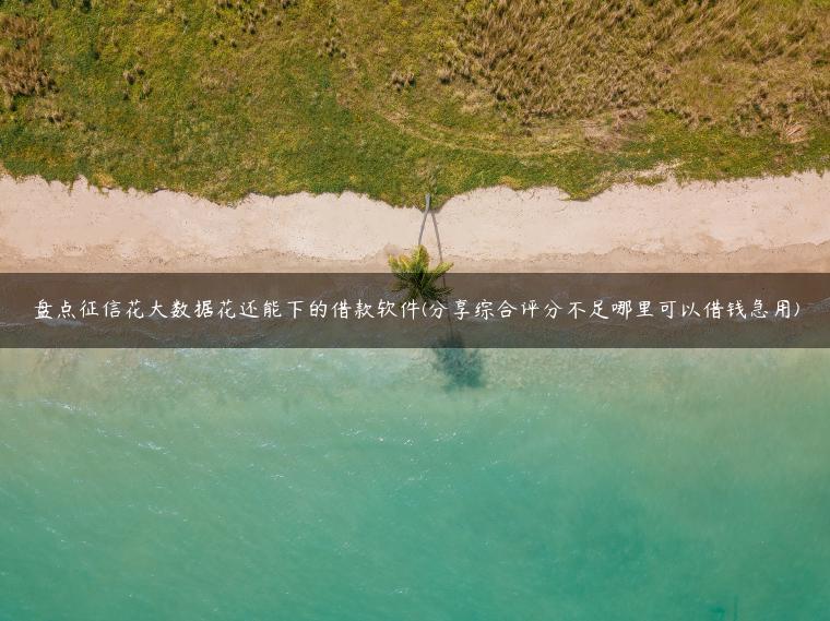 盘点征信花大数据花还能下的借款软件(分享综合评分不足哪里可以借钱急用)