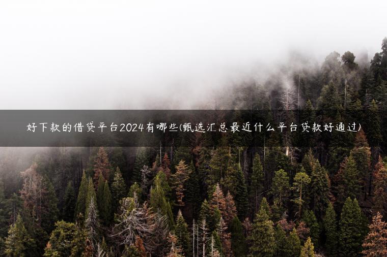 好下款的借贷平台2024有哪些(甄选汇总最近什么平台贷款好通过)