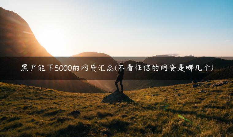 黑户能下5000的网贷汇总(不看征信的网贷是哪几个)