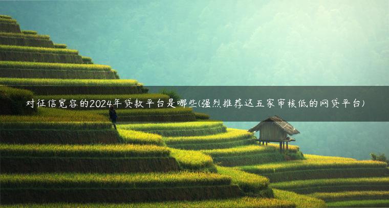 对征信宽容的2024年贷款平台是哪些(强烈推荐这五家审核低的网贷平台)