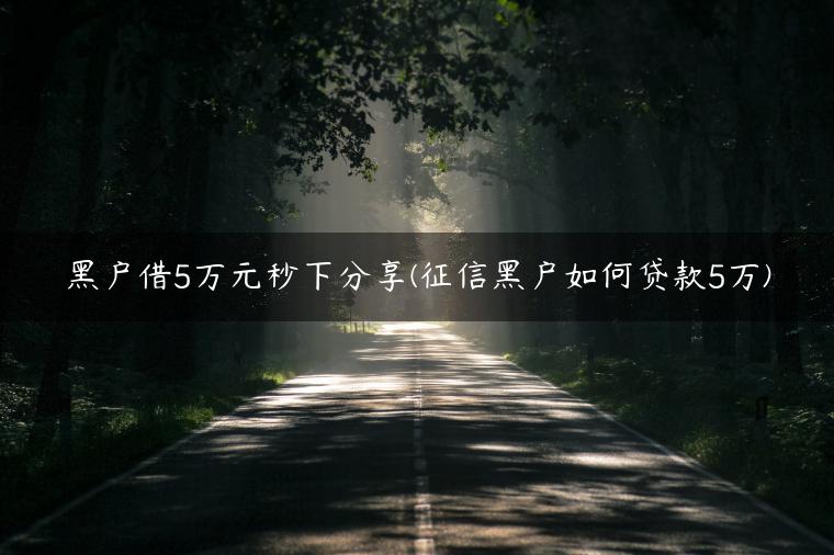 黑户借5万元秒下分享(征信黑户如何贷款5万)