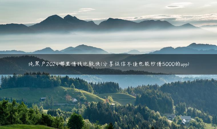 纯黑户2024哪里借钱比较快(分享征信不佳也能秒借5000的app)