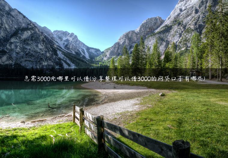 急需3000元哪里可以借(分享整理可以借3000的网贷口子有哪些)