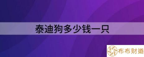 泰迪狗多少钱一只（辨别纯种泰迪5种小妙招）-1