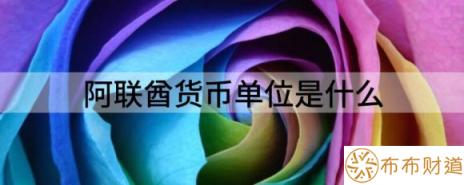 阿联酋货币单位是什么（解读迪拜用什么货币）-1