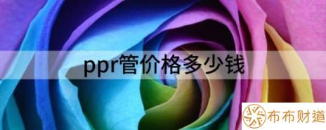 ppr管价格多少钱（解读PPR水管价格是多少）-1