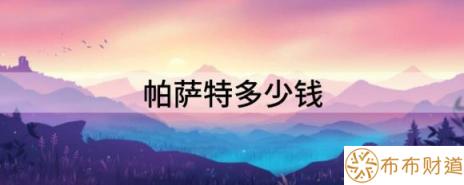 帕萨特多少钱（从18.19万跌至15.99万终于月销18280辆）-1