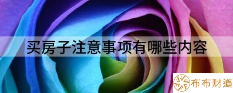 买房子注意事项有哪些内容（分享买房时需要注意的十大注意事项）-1